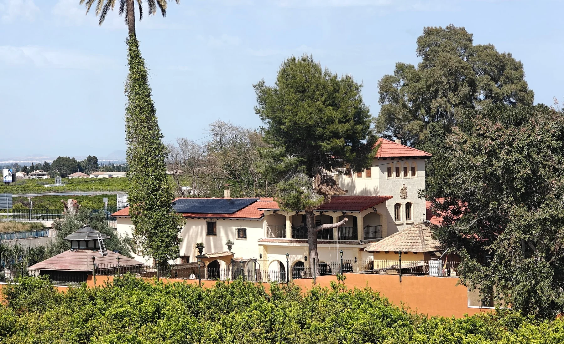 Vista Alegre among the surrounding groves